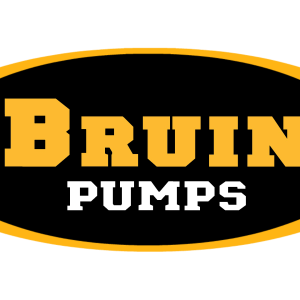 Bruin Logo Large