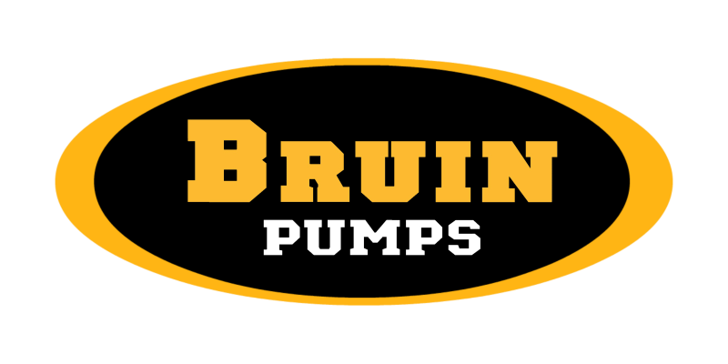 Bruin Logo Large